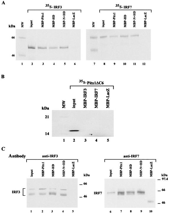 FIG. 6.