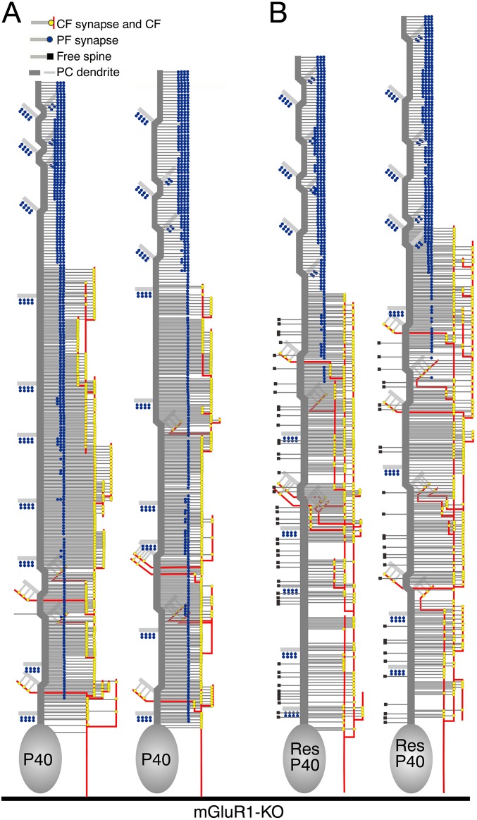 Fig. S7.