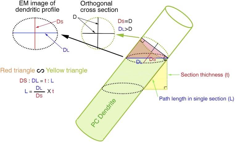 Fig. S4.