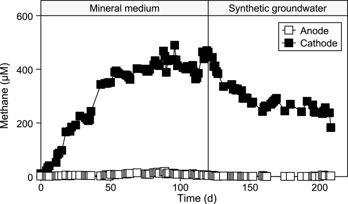 Fig. 6
