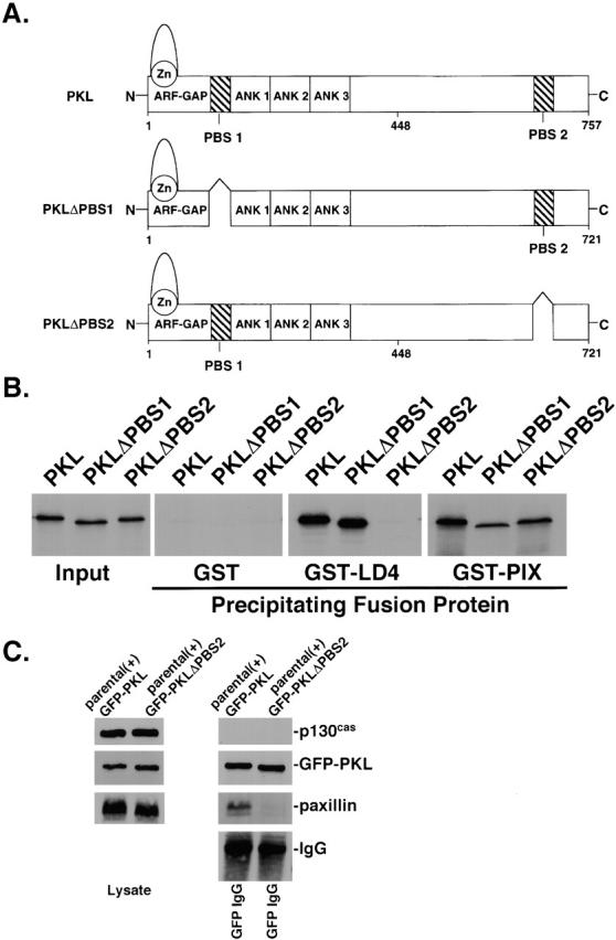 Figure 7.