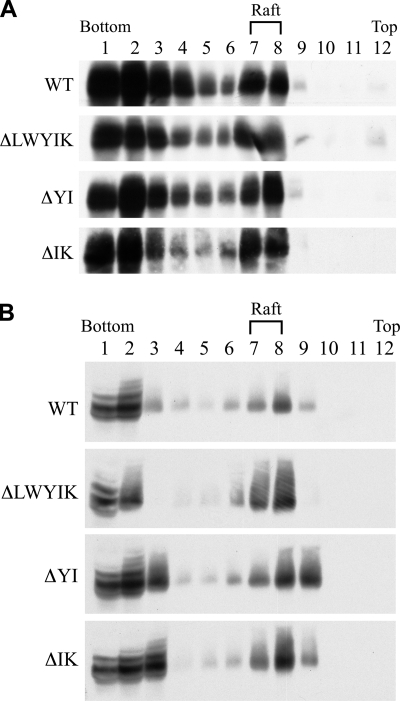 FIG. 6.