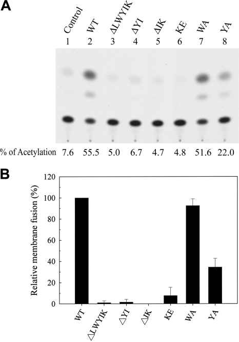 FIG. 7.