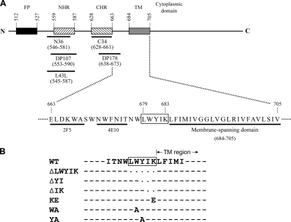 FIG. 1.