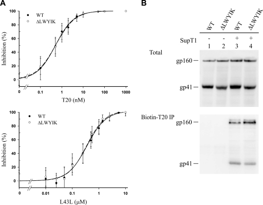 FIG. 9.