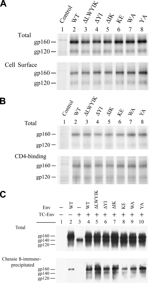 FIG. 4.