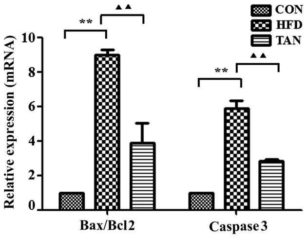 Figure 5.