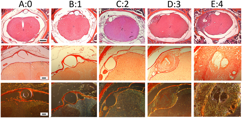 Figure 2: