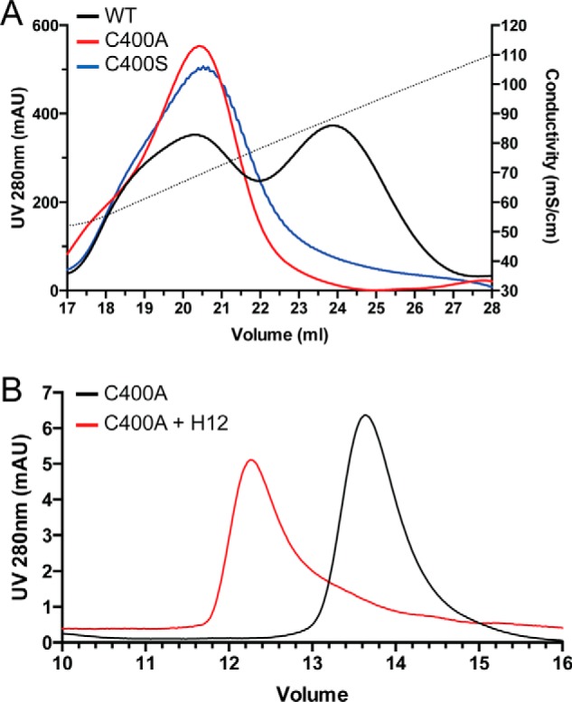 FIGURE 5.