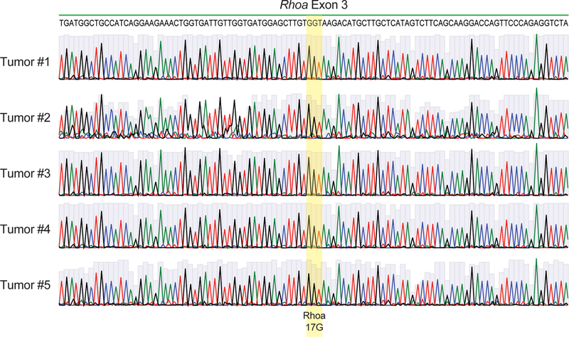 Extended Data Fig. 5: