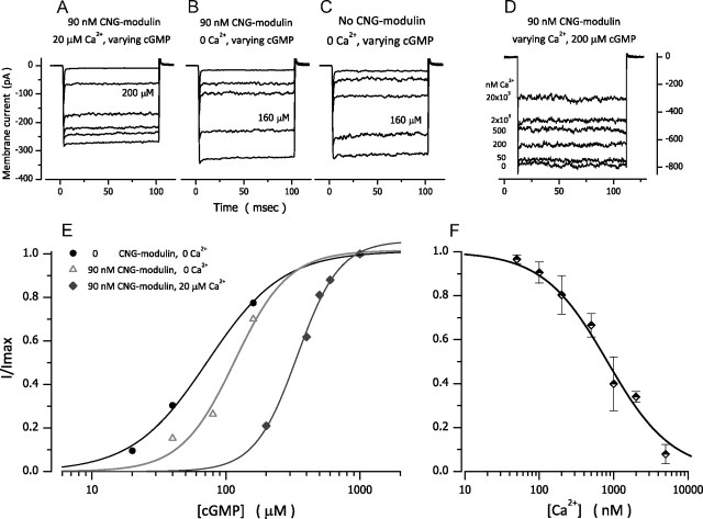 Figure 7.