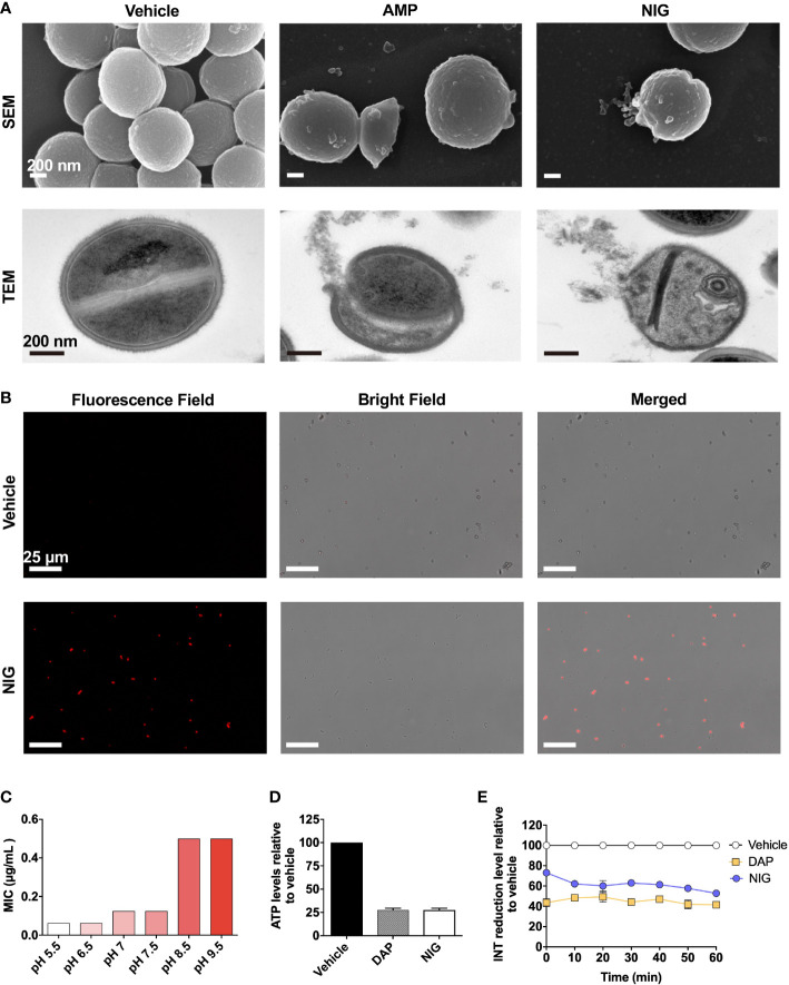 Figure 4