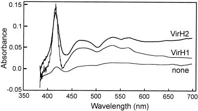 FIG. 6