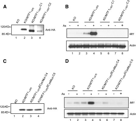 FIGURE 13.