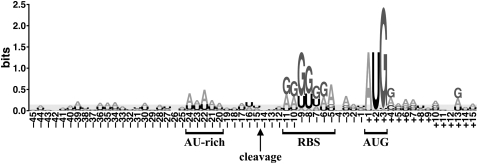 FIGURE 4.