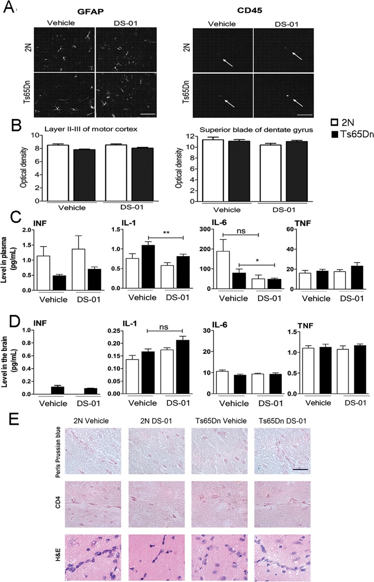 Fig 8