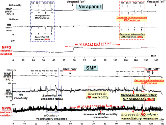 graphic file with name 125_2022_5755_Figic_HTML.jpg