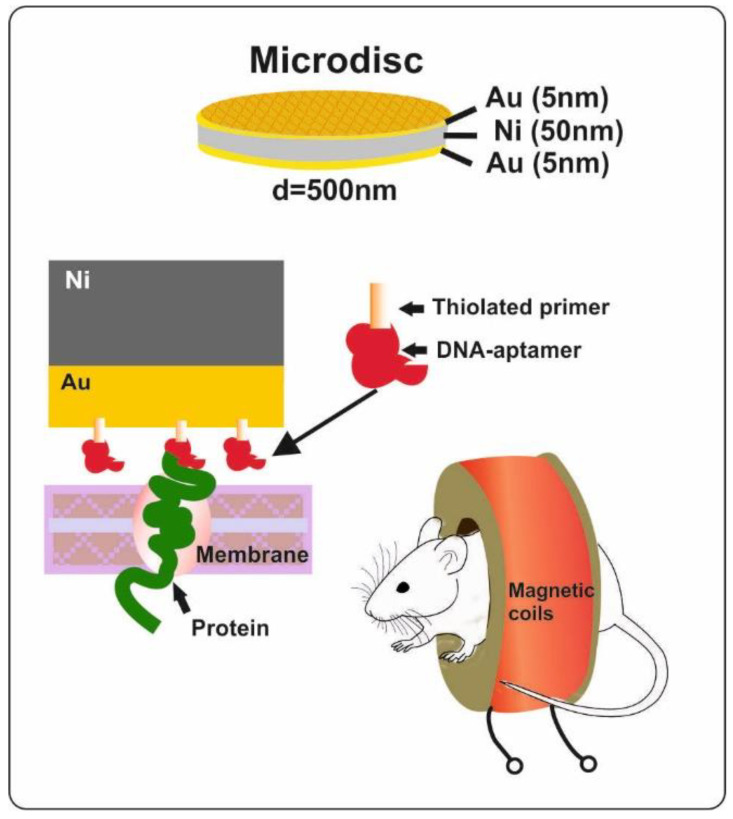 Figure 12