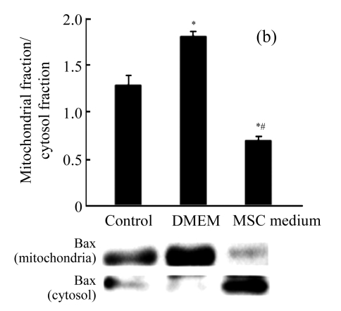 Fig.4