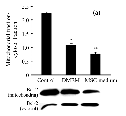 Fig.4