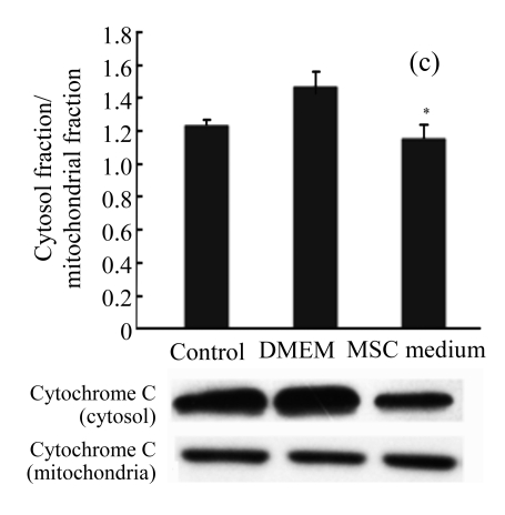 Fig.4