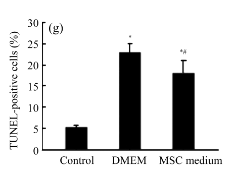 Fig.2