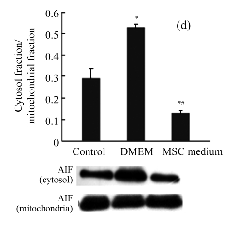 Fig.4