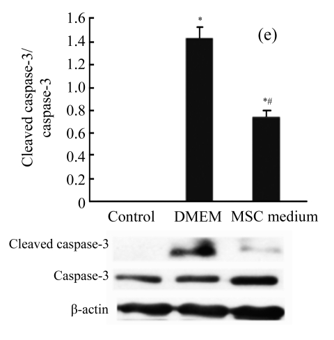 Fig.4