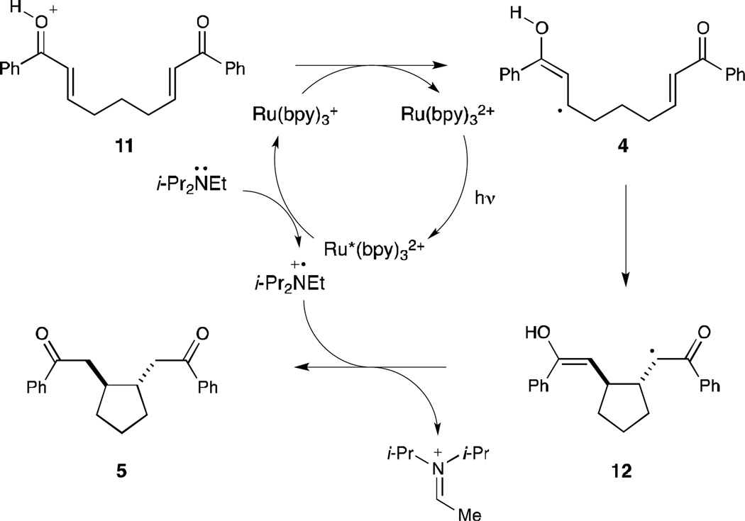 Scheme 3