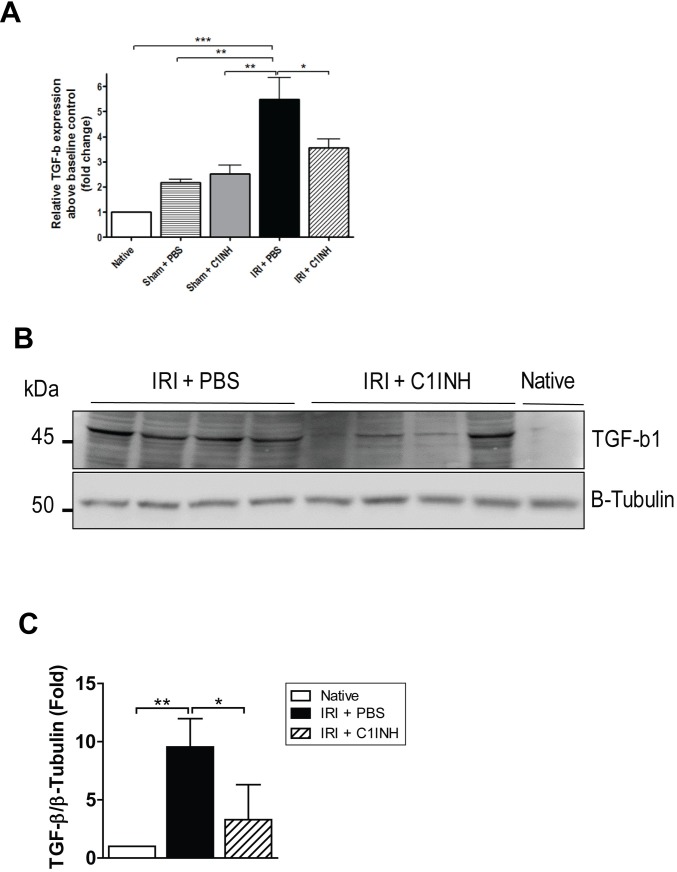 Fig 7