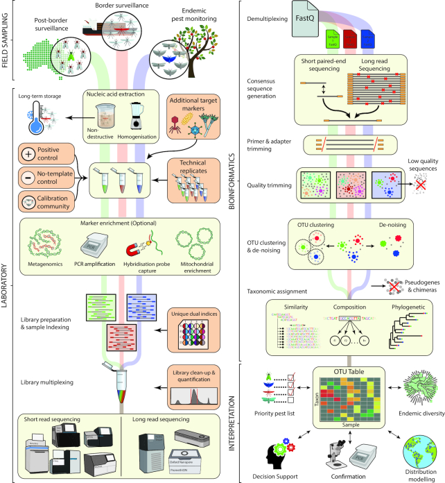 Figure 2: