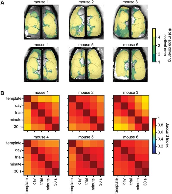 Fig. 4