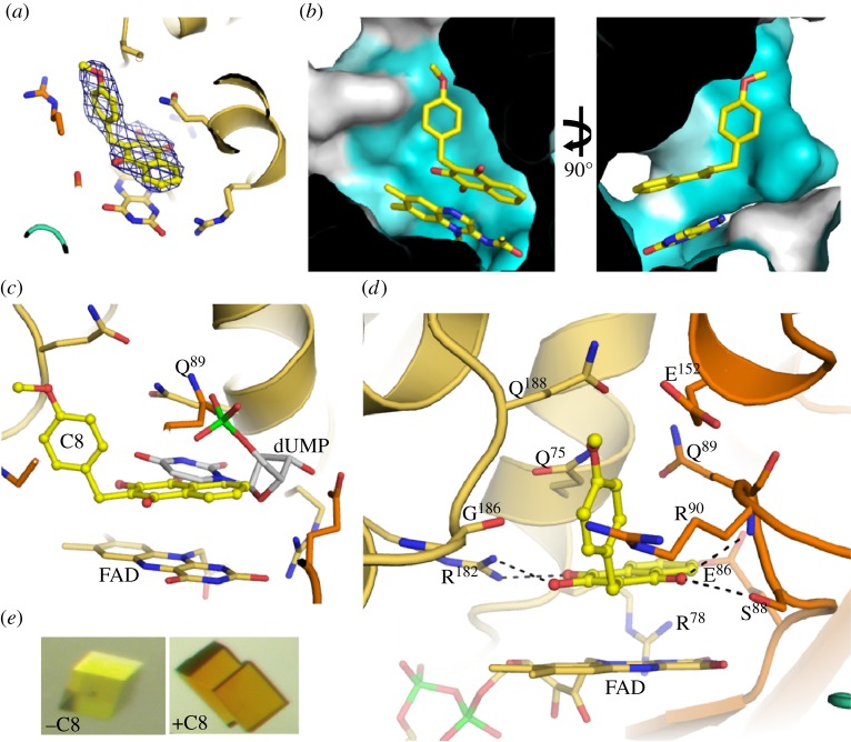 Figure 4.