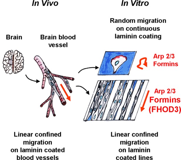 FIGURE 9: