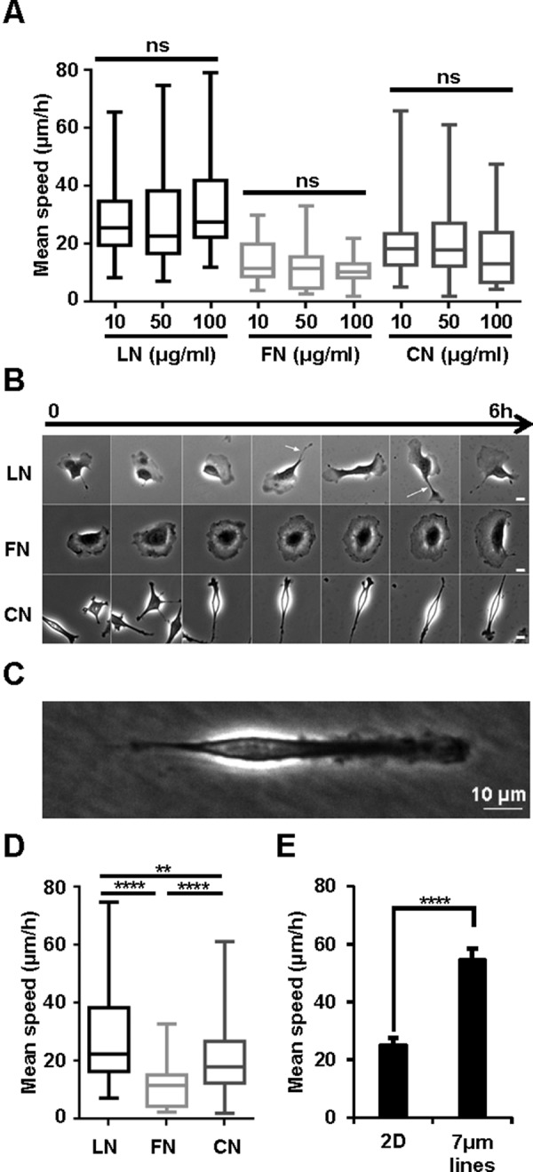 FIGURE 1: