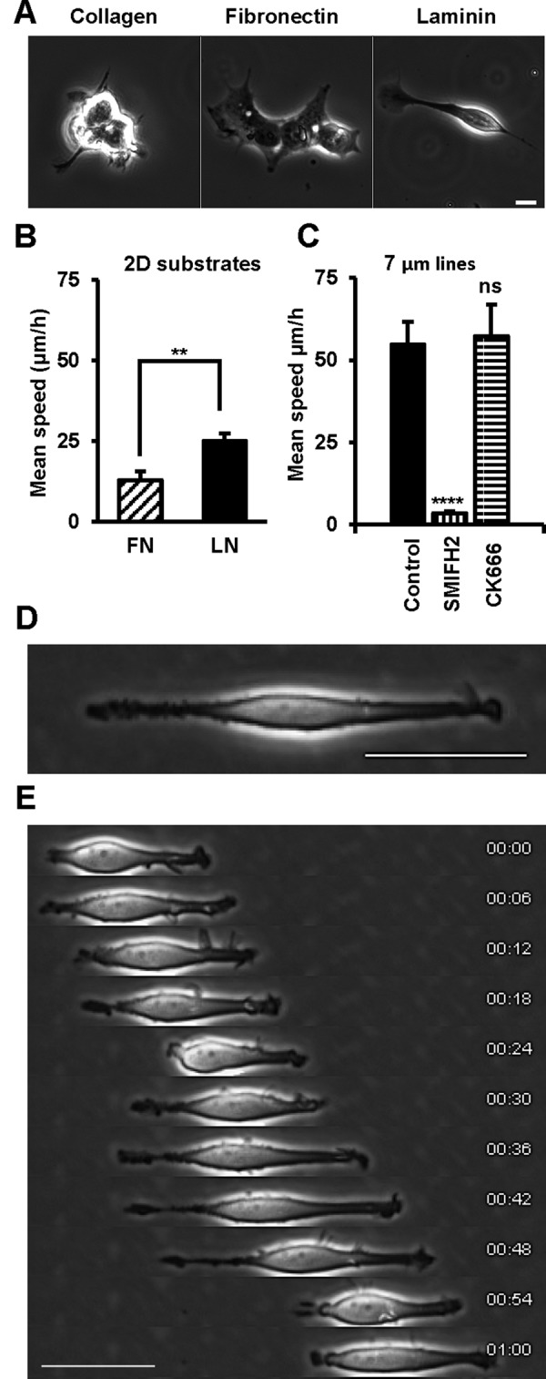 FIGURE 6: