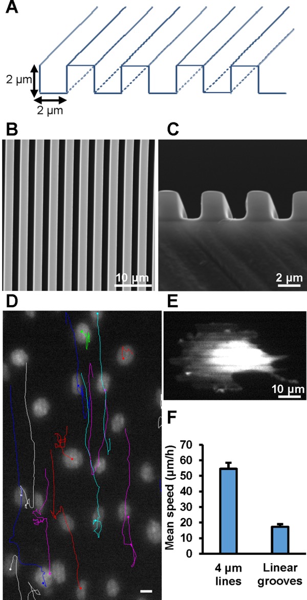 FIGURE 4: