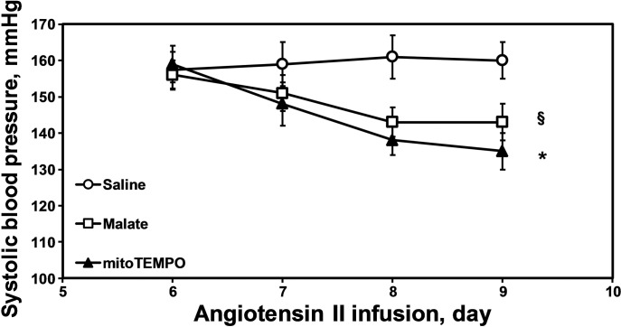 Fig. 10.