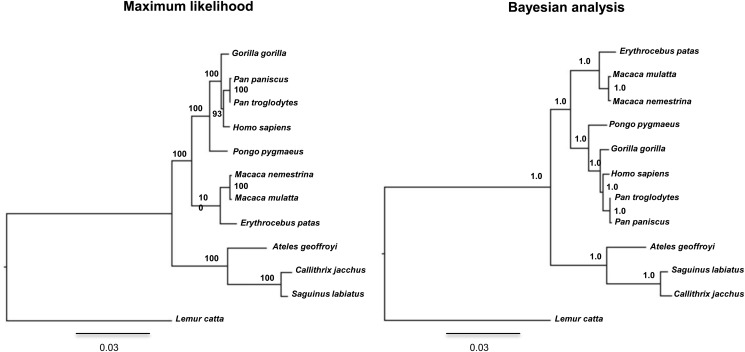 Figure 1