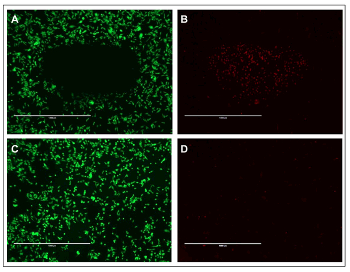 Figure 6.