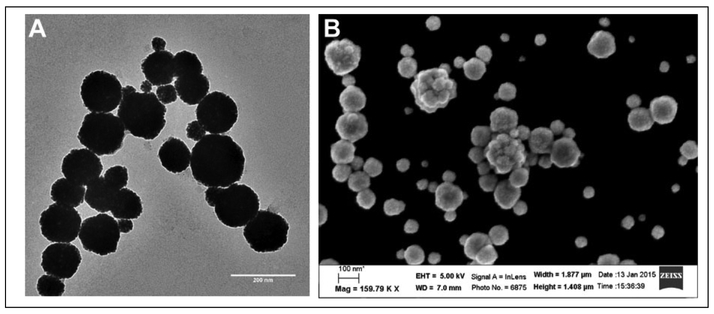 Figure 3.