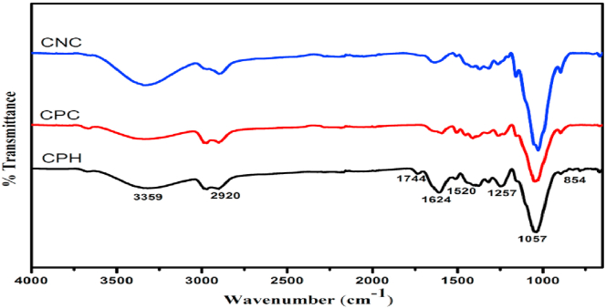 Figure 2