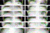 Fig. 14.
