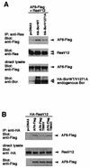 FIG. 5.