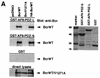 FIG.2.