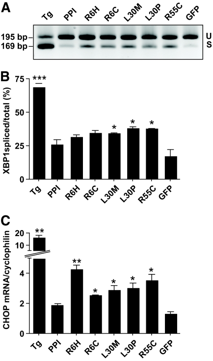 FIG. 7.