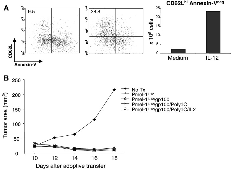 Fig. 6