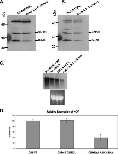 FIG. 8.