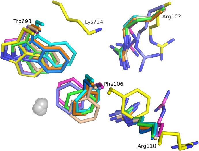 Figure 6