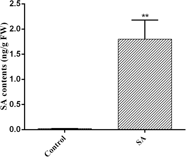 Fig. S1